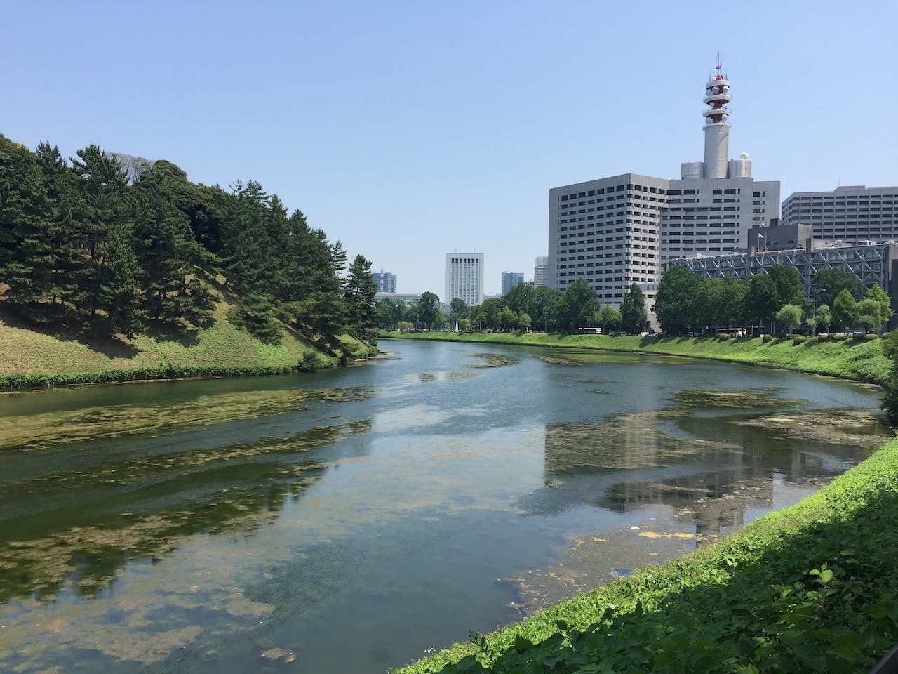 皇居ランニングとは？