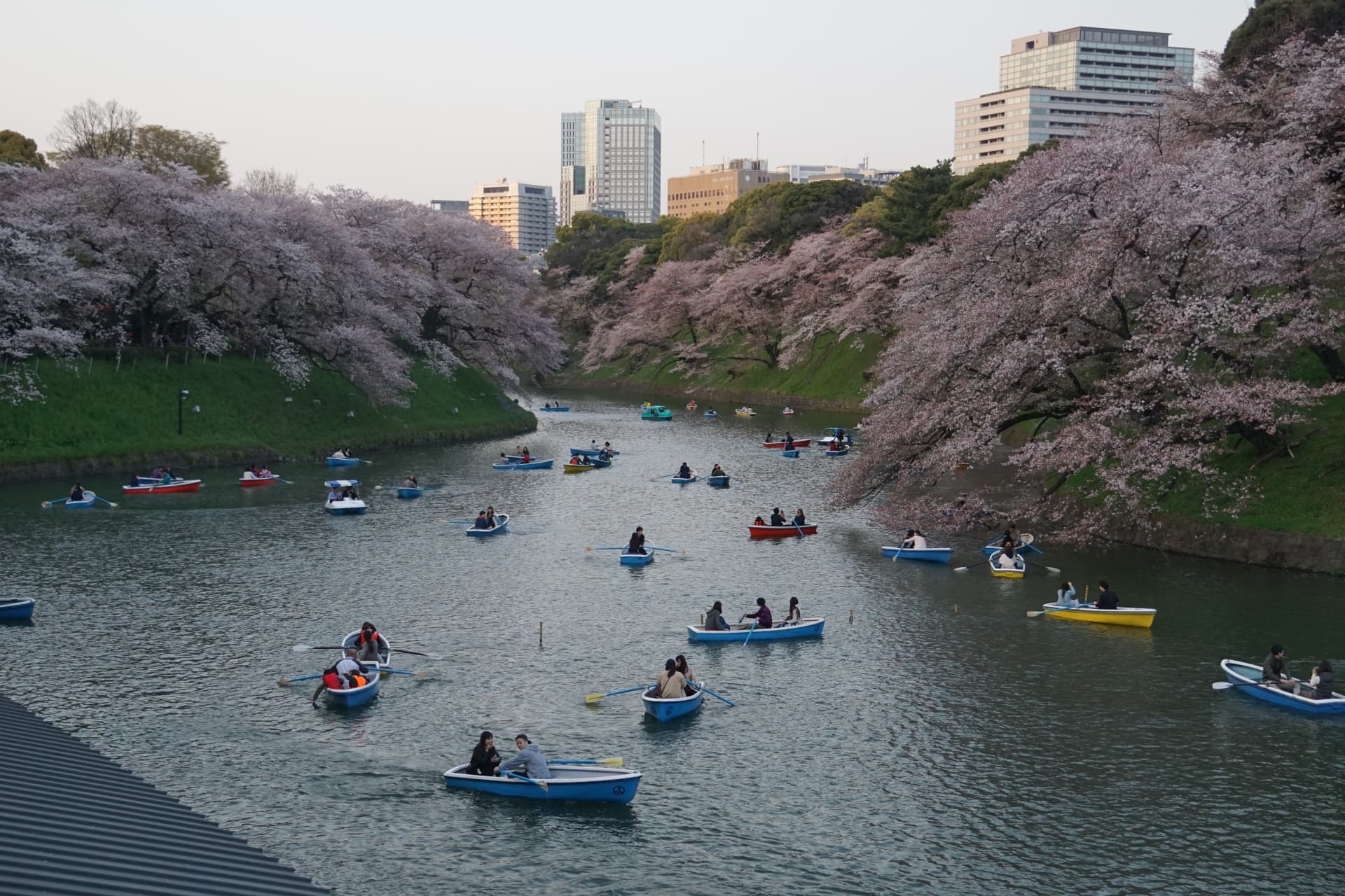 千鳥ヶ淵公園01