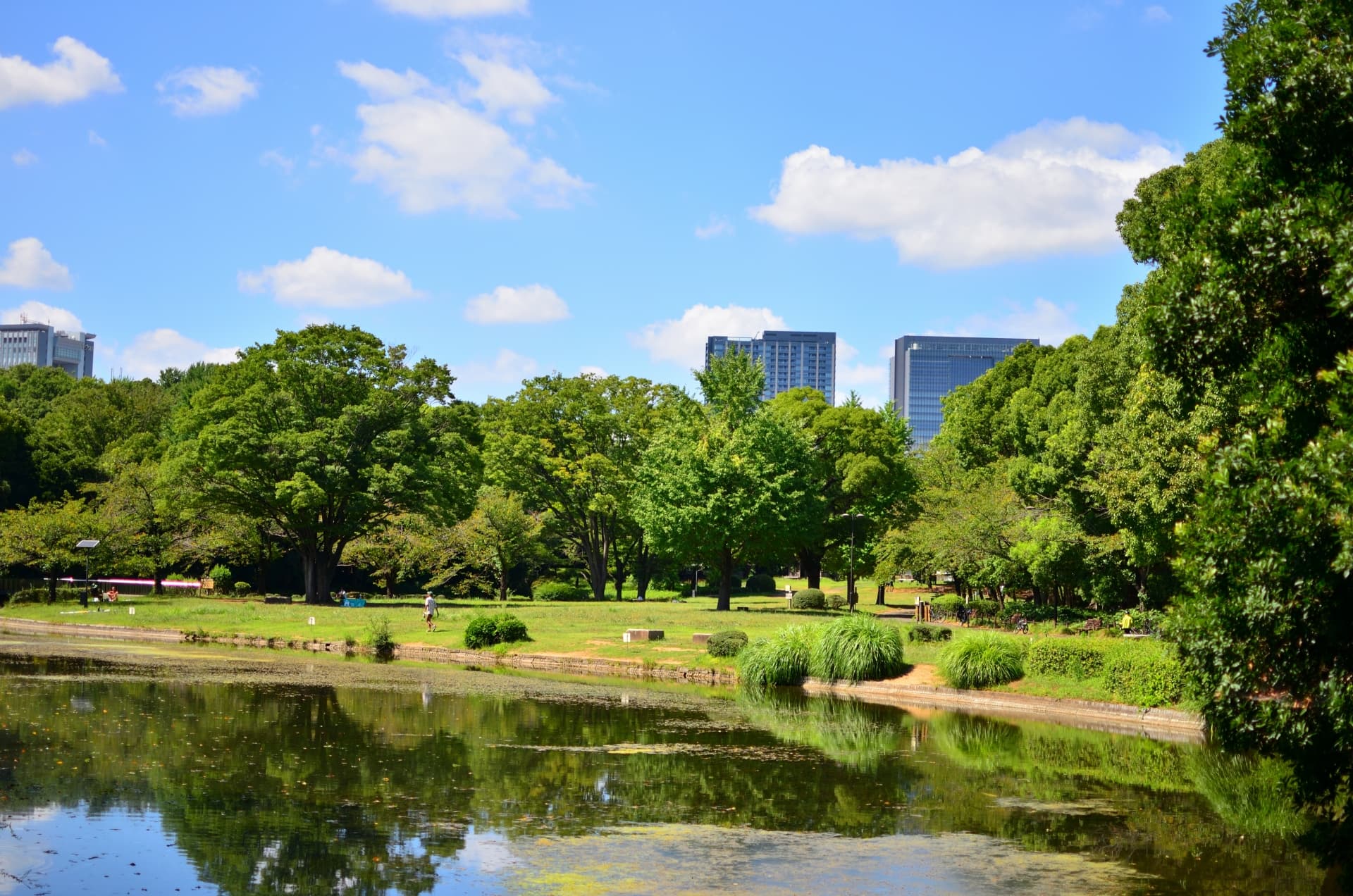 北の丸公園01