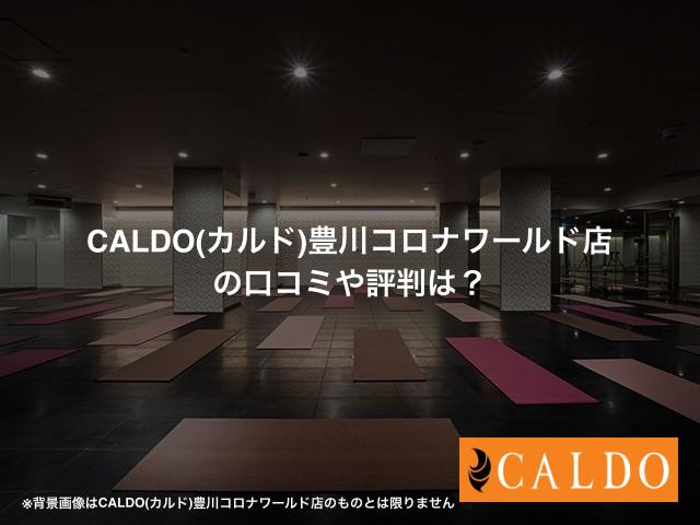 CALDO(カルド)豊川コロナワールド店の口コミや評判は？