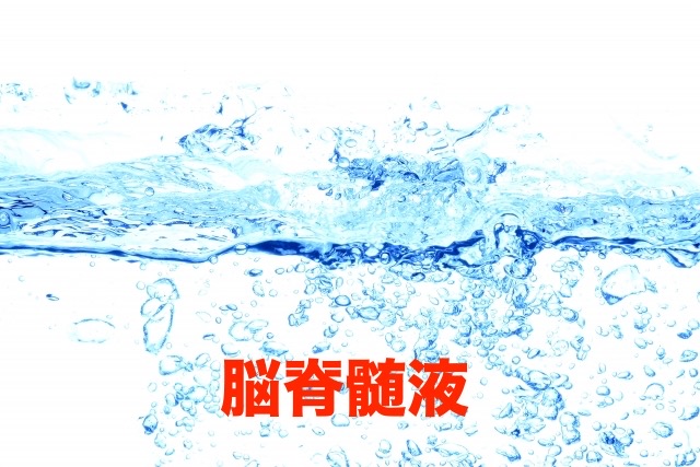 脳脊髄液