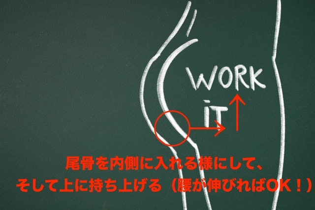 尾骨を内側に入れる様に持ち上げ、腰を伸ばす
