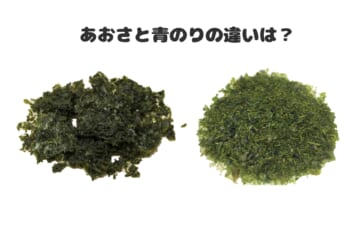 あおさと青のりの違い